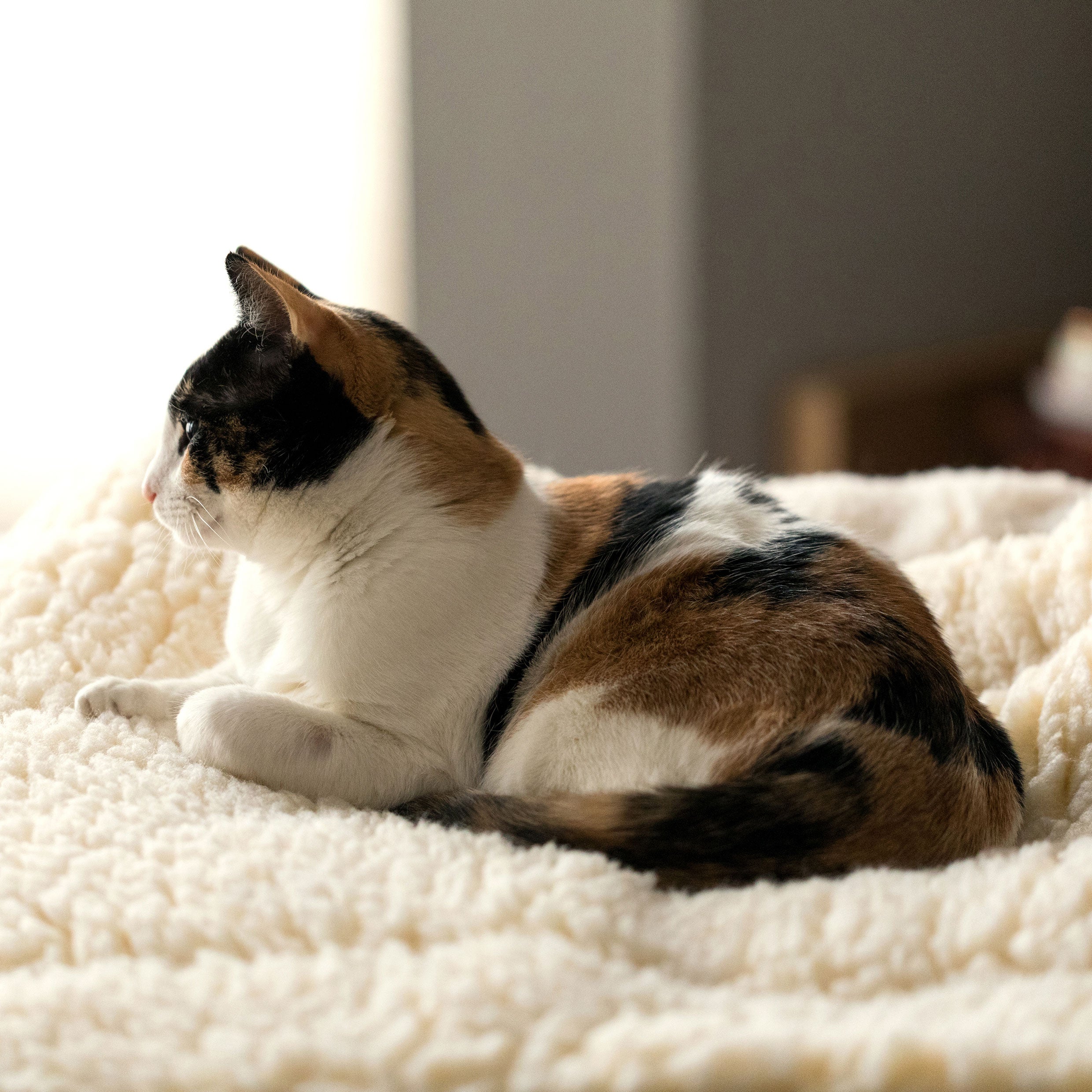 HuggleFleece® Mat Cat & Dog Bed